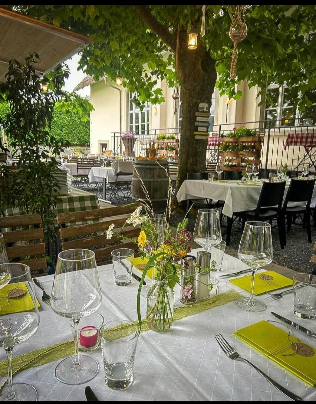 Loewen In Tisis Feldkirch